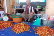 Kemarau Ekstrem Bikin Cabai di Polman Langka, Harga Rawit Tembus Rp 90.000 Per Kg