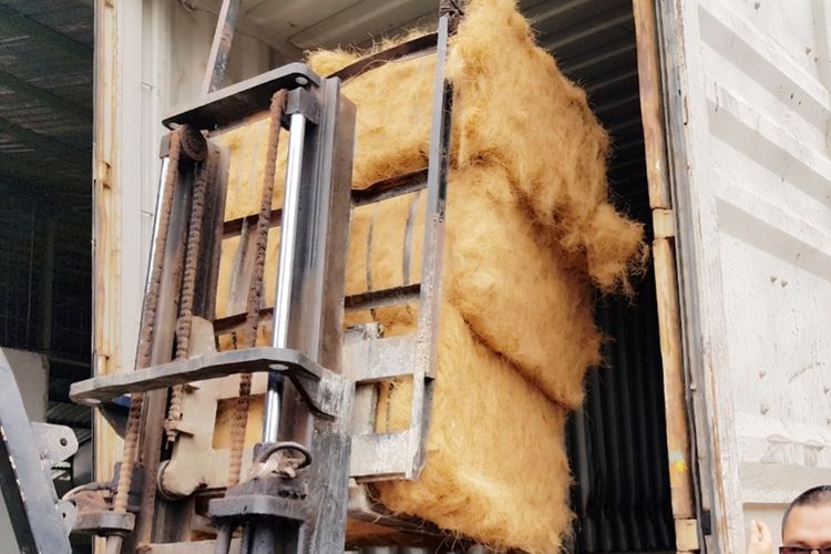 Harga penjualan cocofiber dan cocopeat di pasar internasional saat ini, sekitar USD 320 dan USD 240 per ton. Harga ini berlaku di negara Asia. Sedangkan untuk pasar USA dan Eropa, harganya jauh lebih mahal karena pengaruh jarak tempuh dan biaya transportasi.