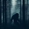 Apakah Bigfoot Benar-benar Ada? Ini Penjelasan Ilmuwan