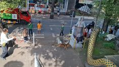 Sudah 18 Korban, Kini Anak 11 Tahun Digigit Anjing Rabies di Buleleng Bali