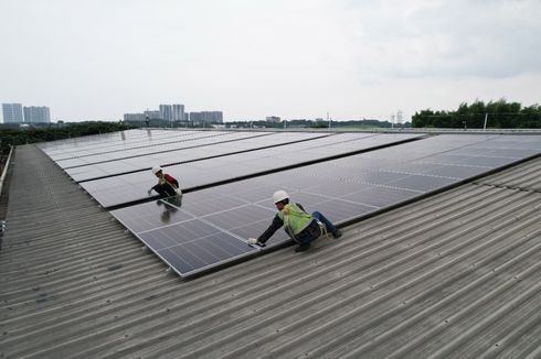 Sambut Green Jobs, Ini 5 Lapangan Kerja dari Energi Terbarukan