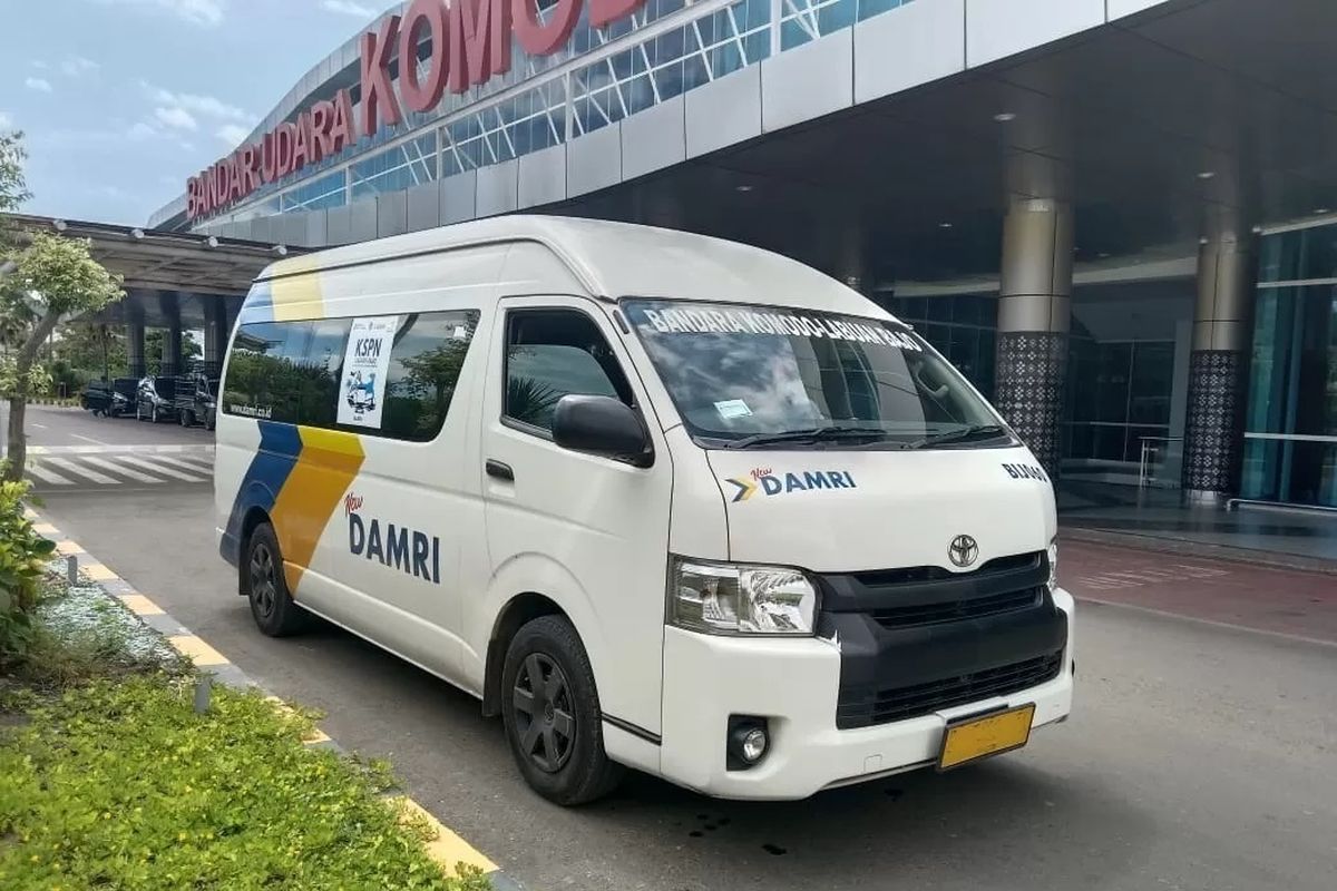 DAMRI mengambil langkah tegas dengan menghentikan sementara layanan dari dan menuju beberapa bandara, seperti Bandara H Hasan Aroeboesnan, Bandara Soa Bajawa, Bandara Gewayantana, dan Bandara Frans Seda Maumere saat erupsi Gunung Lewotobi.