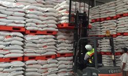 Serapan Gabah dan Beras Capai 2,1 Juta Ton, Bulog Pastikan Kualitas CBP Terjaga Optimal