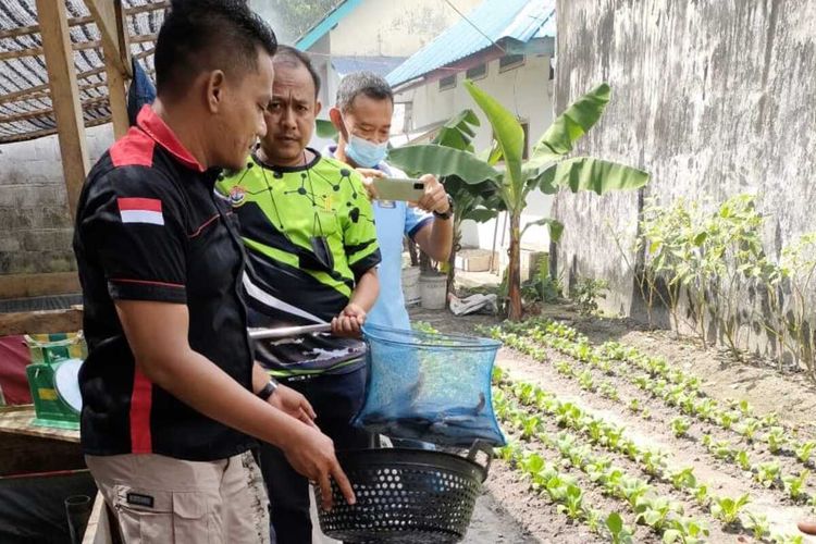 Narapidana di Lembaga Permasyarakatan (Lapas) kelas III Dabo Singkep berhasil panen puluhan kilo ikan lele siap konsumsi dari kolam terpal yang berada diantara kebun sayur di balik tembok tinggi di Lapas Dabo Singkep, Lingga, Kepulauan Riau (Kepri).