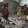 7 Fosil Manusia Purba di Indonesia dan Lokasi Penemuan
