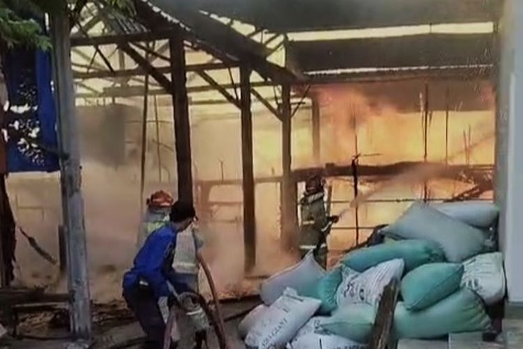 40.000 Ekor Anak Ayam di Magetan Terpanggang, Api Diduga dari Penghangat Kandang