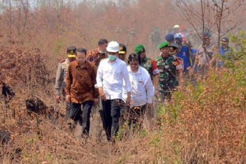 Jokowi: Kalau Pemda Tak Dukung, Kebakaran Hutan Sulit Diselesaikan 