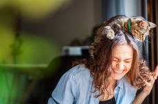 Membaca Arah Gerakan Gen Z