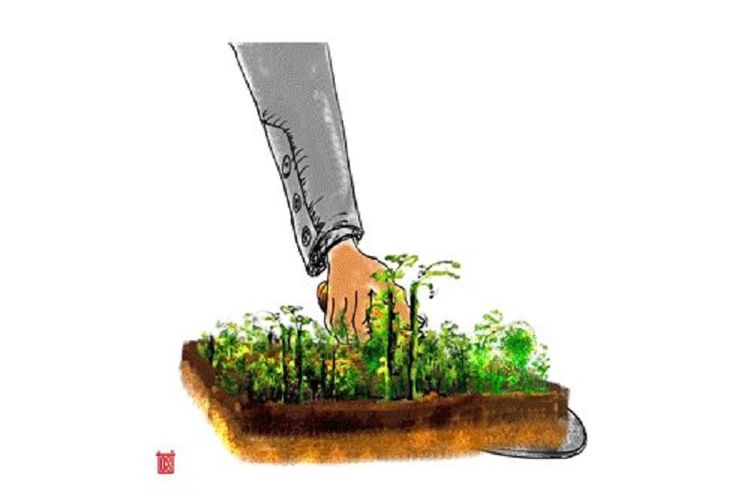 Ilustrasi reforma agraria