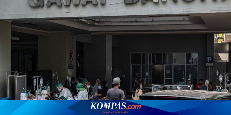 Luhut Diminta Jujur soal Kondisi Pandemi di Indonesia, Tidak Asal Presiden Senang - Vimarsana News
