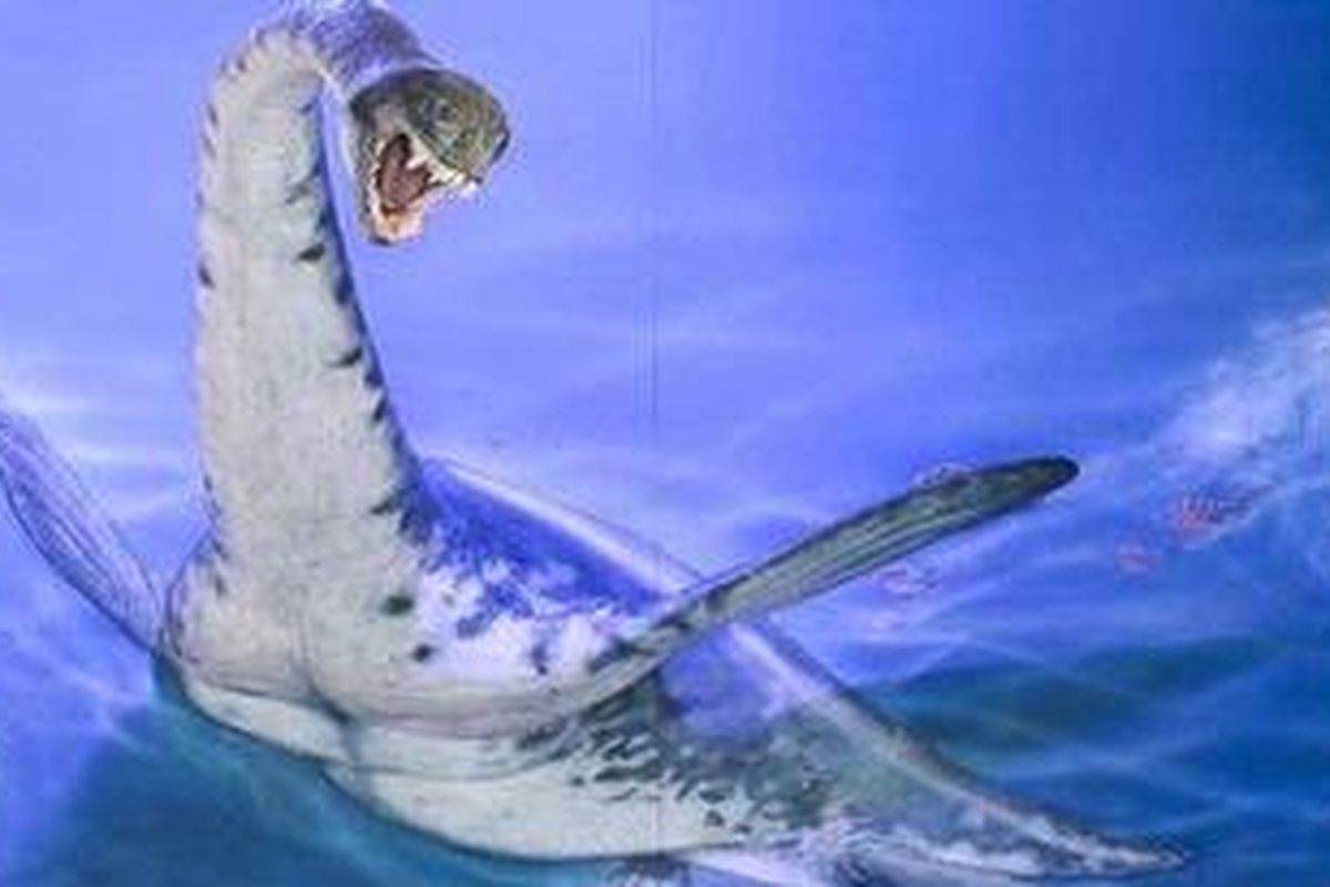 Plesiosaur, illustrasi courtesy Orlando Grillo dan Maurilio S. Oliviera