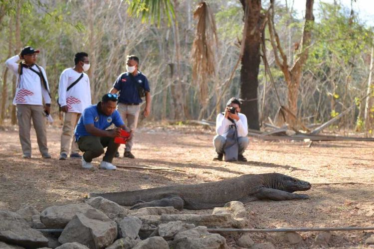 Kementerian Pariwisata dan Ekonomi Kreatif bersama dengan BOPLBF melaksanakan famtrip dengan media di kawasan Taman Nasional Komodo, Labuan Bajo, Manggarai Barat, NTT, Minggu, (13/9/2020). (HANDOUT/BOPLBF)