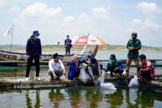 Diprediksi Panen 1,5 Juta Ton, Ikan Budidaya Siap Penuhi Kebutuhan Ramadhan