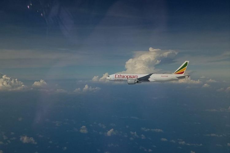 Pesawat Ethiopian Airline callsign ETH3728 yang melakukan penerbangan dari Addis Ababa menuju Hongkong, dipaksa mendarat di Bandara Hang Nadim, Batam, Kepulauan Riau sekitar pukul 09.33 WIB, Senin (14/1/2019) dikarenakan masuk wilayah Indonesia namun tidak memiliki izin.