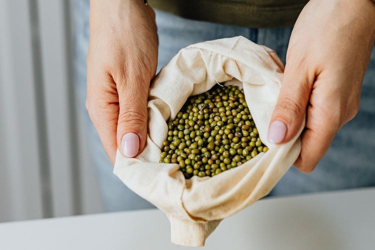 Ilustrasi kacang hijau yang sudah dipanen