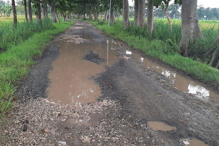 Jalan rusak yang berada di Desa Jepangrejo, Blora, Kamis (18/3/2021)