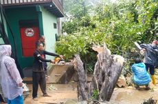 Rumah Warga di Ambon Rusak Tertimpa Pohon Tumbang, Damkar Turun Tangan