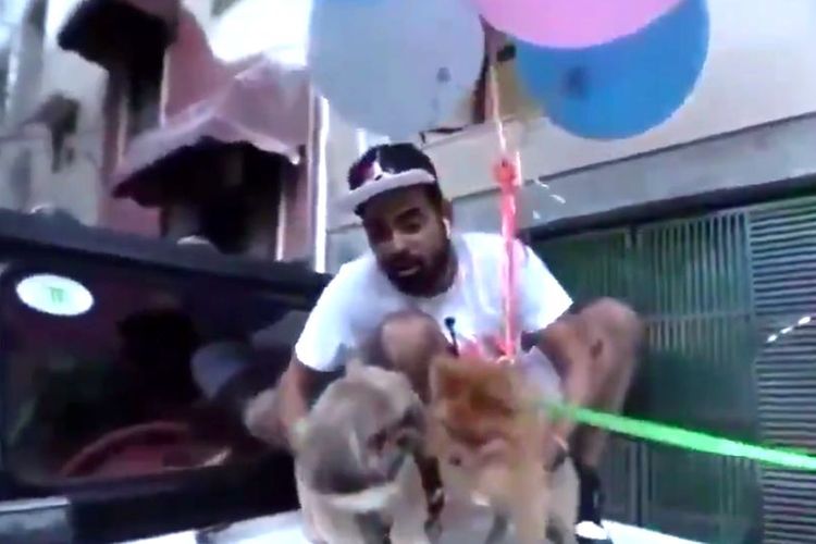 Seorang Youtuber India, Gaurav Sharma, nampak mengikatkan balon helium ke anjingnya, Dollar. Dia kemudian menerbangkan si anjing hingga balkon lantai dua sebelum ditangkap seseorang. Aksinya menuai kemarahan publik, dan dia ditangkap setelah dilaporkan kelompok penyayang binatang.