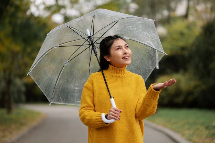 BMKG Ungkap Prediksi Daftar Wilayah yang Memasuki Musim Hujan pada September-Oktober 2025