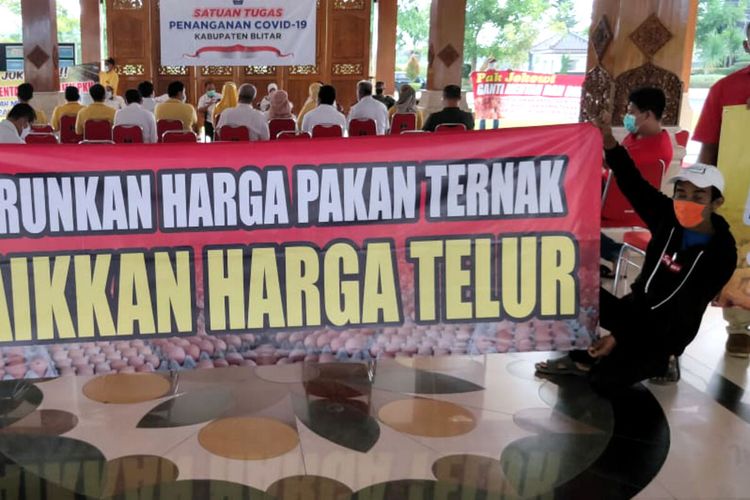 Peternak ayam petelur menuntut Pemkab Blitar turun tangan pada kenaikan harga jagung dan penurunan harga telur, Senin (5/5/2021)