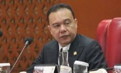 DPR Minta Pemerintah Tegas Atasi Kasus Gagal Ginjal pada Anak