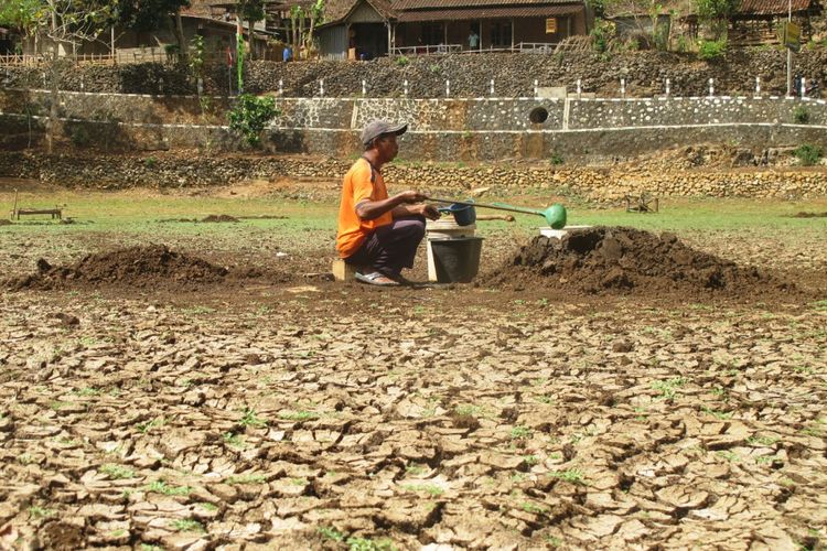 Marsidi (56) memasukkan air sisa air di telaga Banteng, Rongkop, Gunungkidul, yang sudah mengering ke ember, Selasa (28/8/2018)