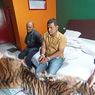 Abang dan Adik di Padang Sidimpuan Ditangkap karena Jual Kulit Harimau dan Sisik Trenggiling