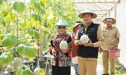 Pemkab Lamongan Komitmen Jaga Ketahanan Pangan lewat Inovasi Holtikultura