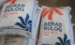 Perum Bulog Serap 500.000 Beras dalam Negeri