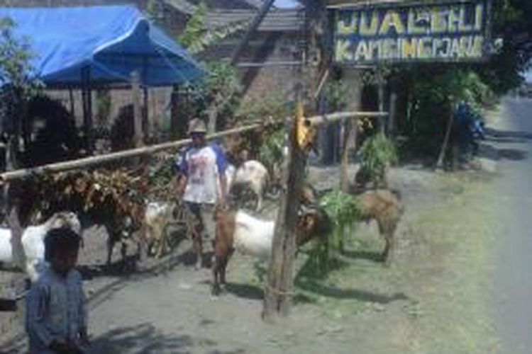 Lapak jualan kambing kurban milik Sujarwo di Kelurahan Tempurejo, Kecamatan Pesantren, Kota Kediri, Jawa Timur.