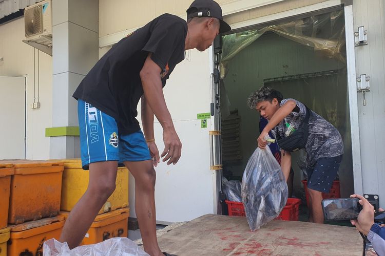 Pedagang ikan mengemas ikan beku dari cold storage Pelabuhan Pantai Sadeng, Gunungkidul. Senin (1/7/2024)