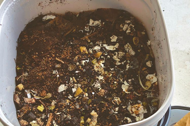 Ilustrasi pupuk bokashi. 