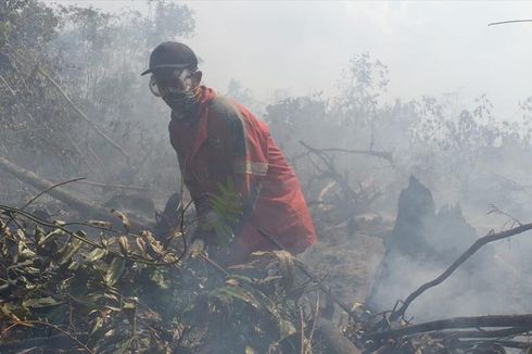 Karhutla di Riau Tak Kunjung Padam, Warga Diimbau Berdoa Minta Hujan