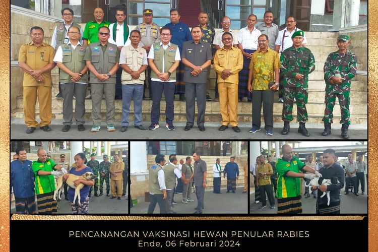 Pemkab Ende melakukan pencanangan vaksinasi rabies untuk mengendalikan angka kasus rabies di wilayah Nusa Tenggara Timur (NTT). 