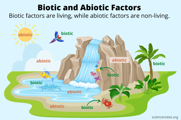 Faktor biotik dan abiotik dalam ekosistem