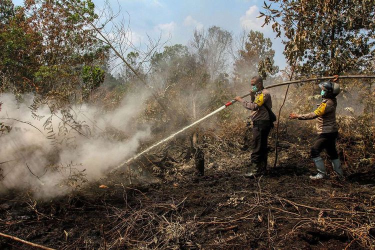 Petugas Kepolisian berusaha memadamkan bara api yang membakar lahan gambut di Pekanbaru, Riau, Senin (25/2/2019). Satgas Kebakaran Hutan dan Lahan (Karhutla) Provinsi Riau terus berupaya melakukan pemadaman agar kebakaran lahan tidak semakin meluas.
