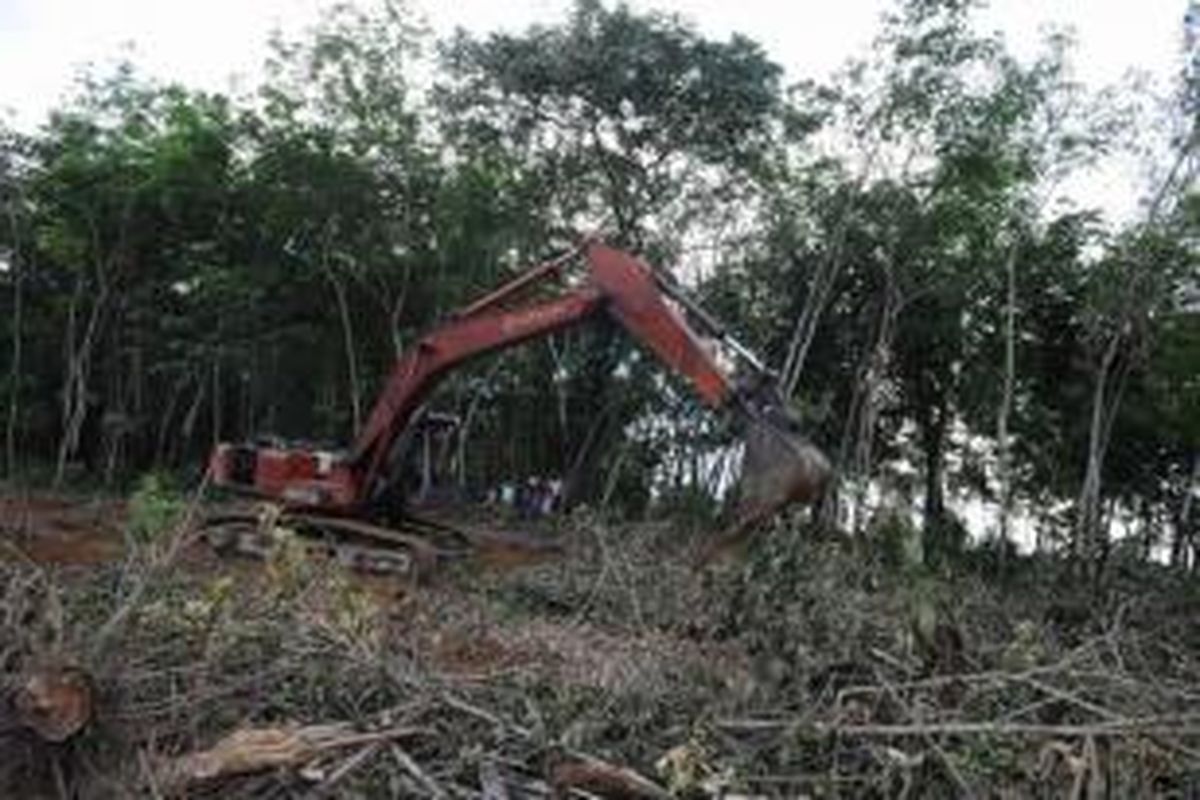 Ilustrasi alih fungsi hutan