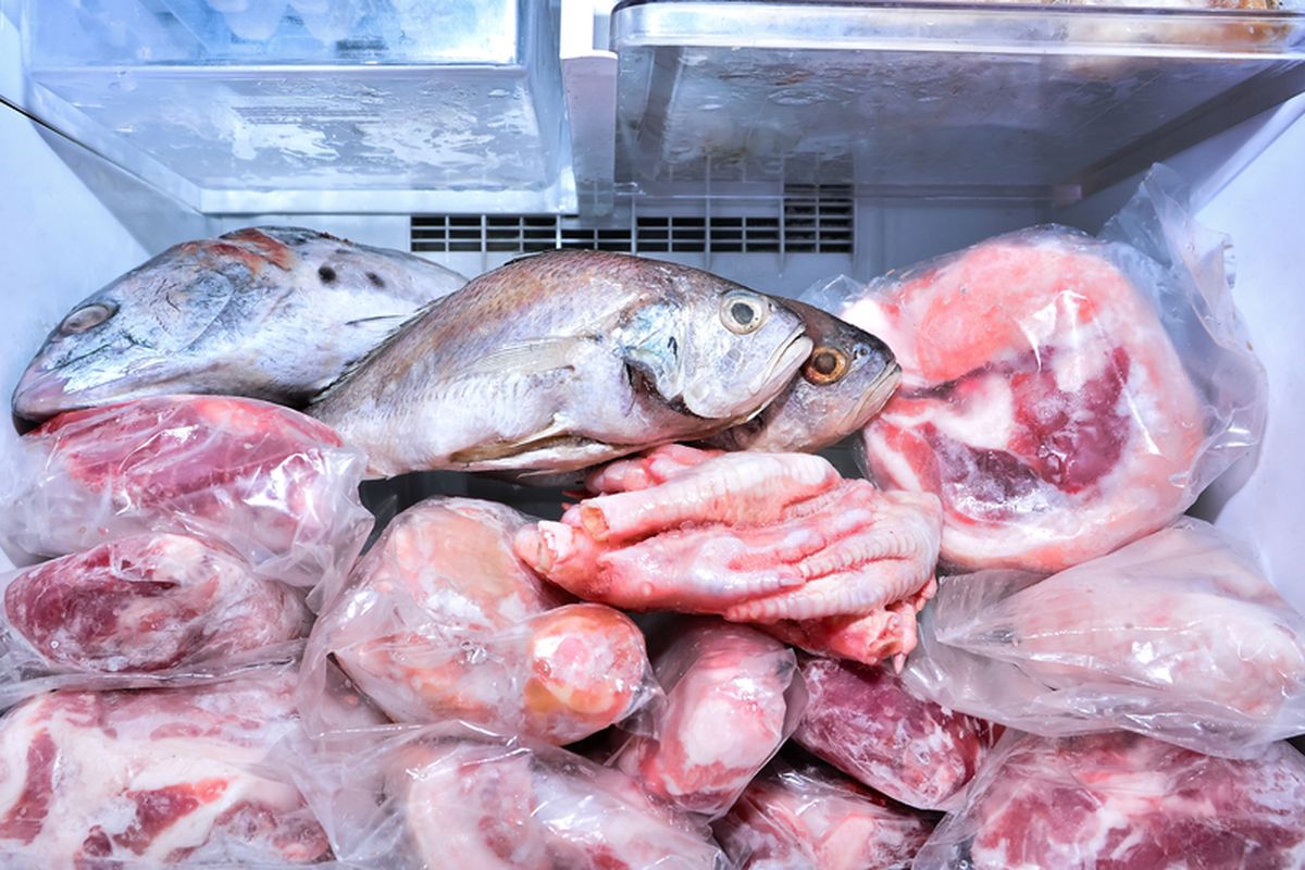 Ilustrasi daging sapi dan ikan di freezer. 