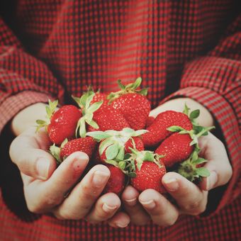 Ilustrasi buah stroberi, strawberry.