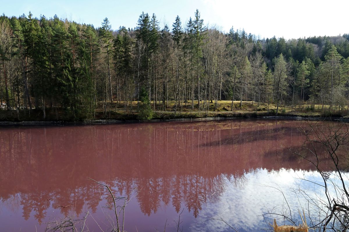 Danau berwarna ungu yang dipenuhi bakteri sulfur ungu yang merupakan bakteri autotrof