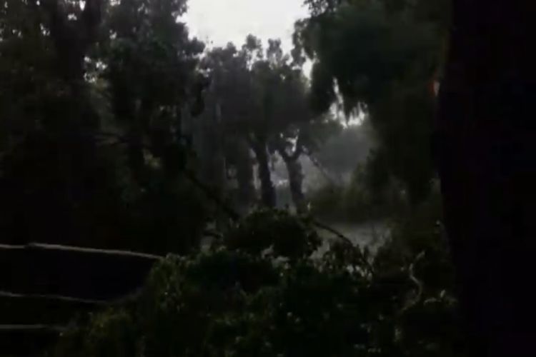Salah satu lokasi pohon tumbang di wilayah Kelurahan Gunung, Kebayoran Baru, Jakarta Selatan pada Rabu (14/4/2021) sore.