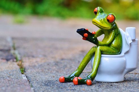 Ada Bahaya Mengintai jika Duduk Terlalu Lama di Toilet Sambil Bawa Ponsel