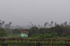 Guru Besar Unmul: Deforestasi di Kaltim Bukan Fenomena Baru, Ada Tiga Fase