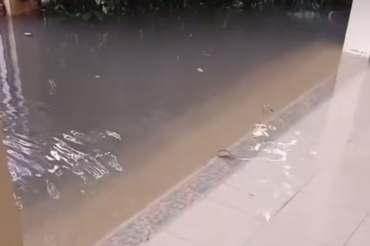 Rumah Katon Bagaskara di Kebayoran Baru Terendam Banjir, Minta Pramono Cari Solusi