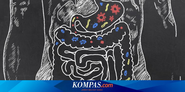3 Cara Penting Menjaga Kesehatan Usus Halaman All Kompas Com