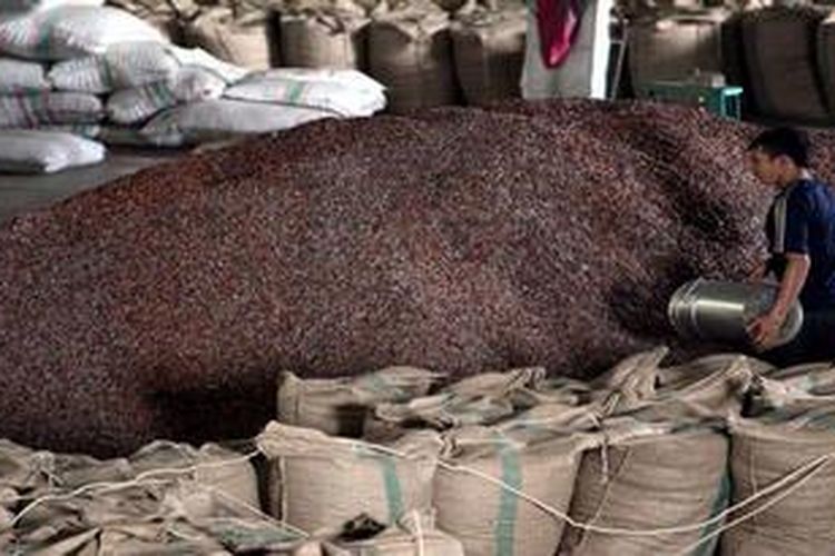 Pekerja mengemas biji kakao di Kawasan Industri Makassar, Sulawesi Selatan, Senin (11/6/2012). 