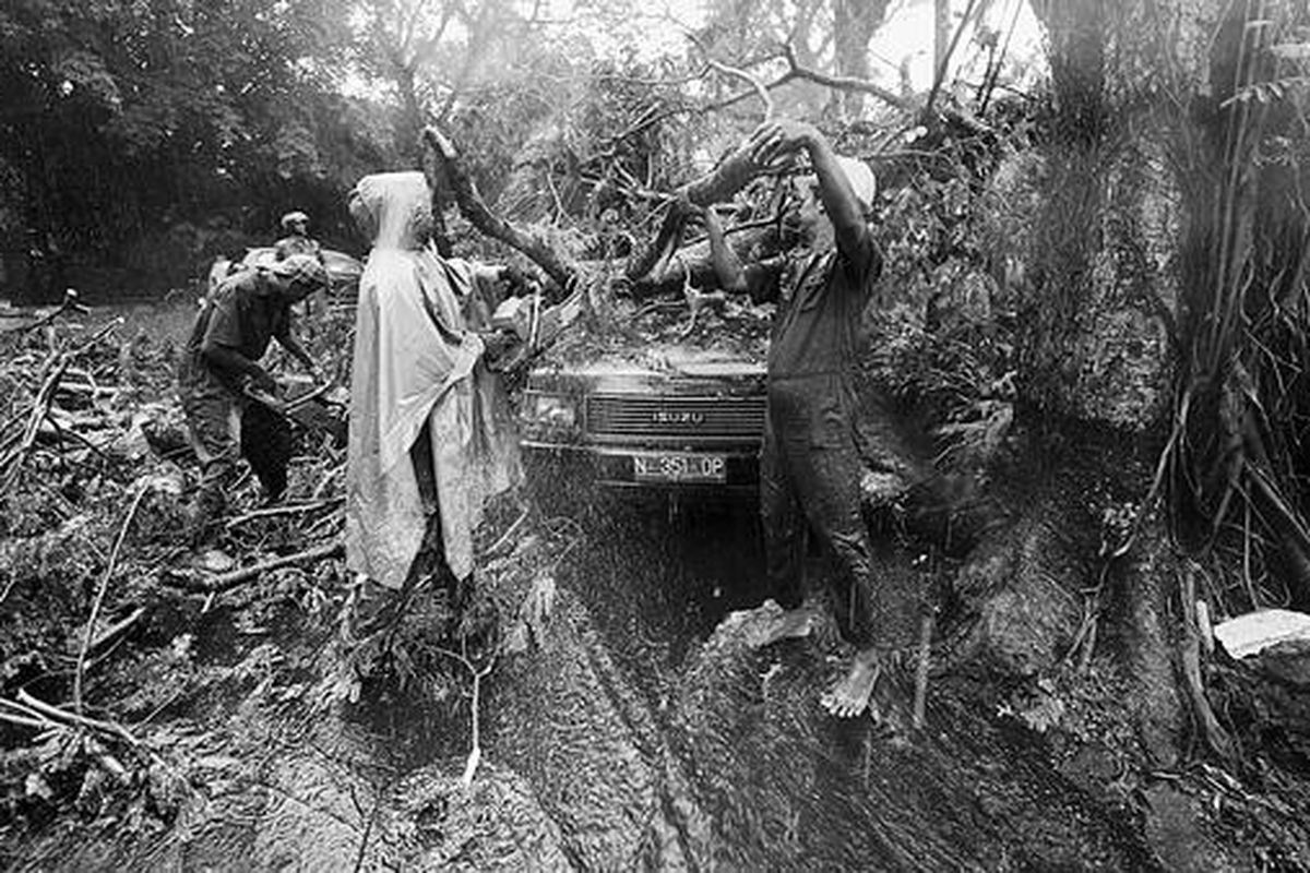 Sebuah mobil dinas bernomor polisi N 351 DP tertimpa pohon yang tumbang akibat hujan yang disertai angin kencang di Jalan Majapahit, Kota Malang, Jawa Timur, Rabu (6/1). Tidak ada korban jiwa dalam peristiwa yang disebabkan hujan lebat disertai angin berkecepatan 40 knot (74 kilometer per jam) tersebut.