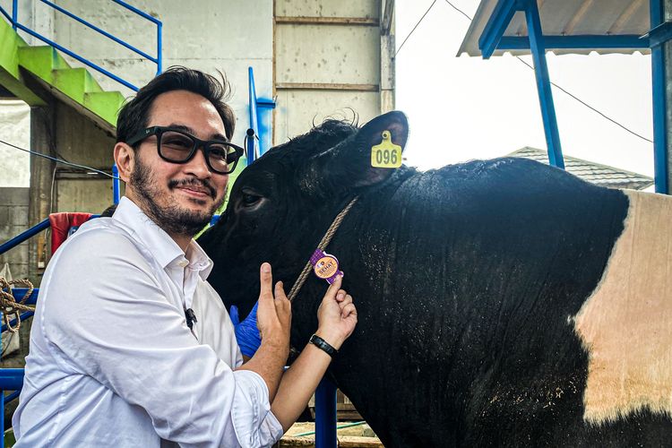 Bupati Bandung Barat Sidak Lapak Kurban, Ribuan Sapi dan Domba Dipastikan Sehat