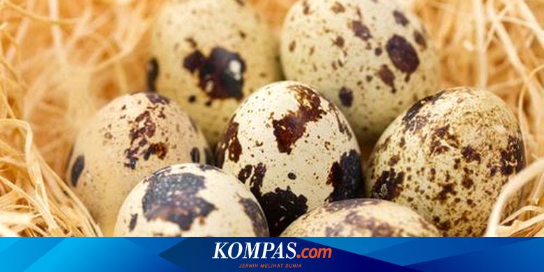 Tips memilih dan mengupas telur puyuh