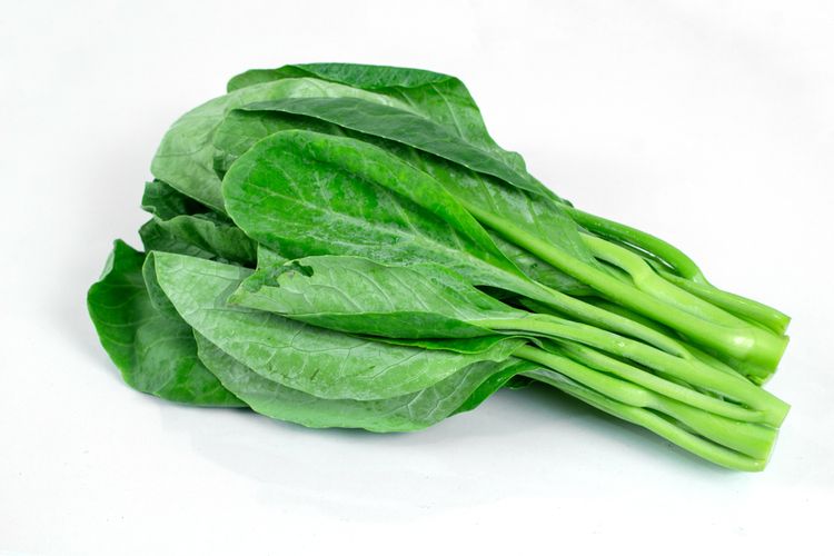 Ilustrasi kailan, sayuran kailan.